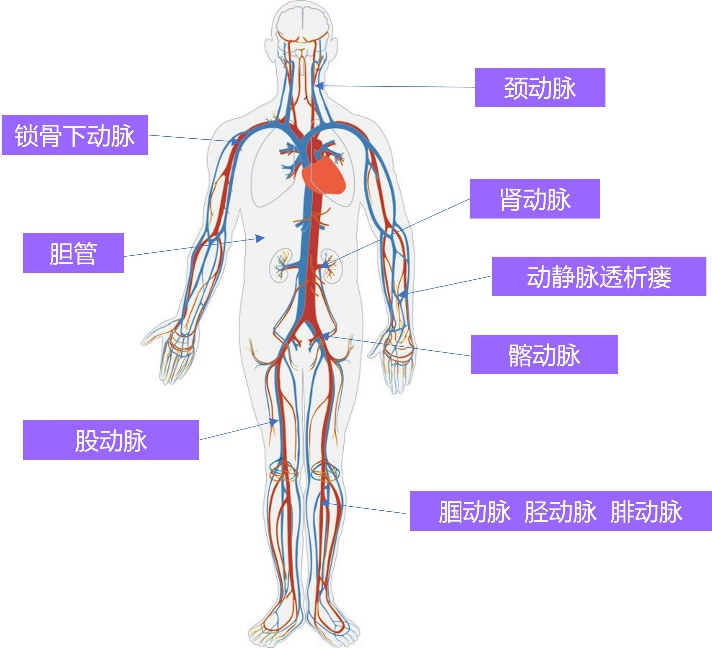 &#31859;&#20848;&#32593;&#39029;&#29256;&#45;&#31859;&#20848;&#40;&#20013;&#22269;&#41;